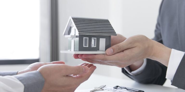 Ana Procopio Advocacia em Pinhais